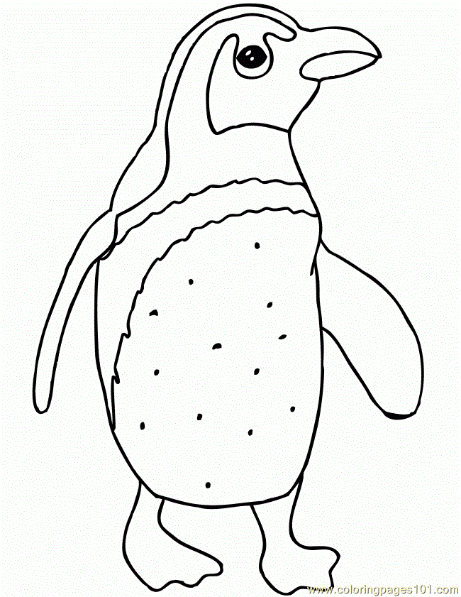 Plansa de colorat cu Pinguin 56 52